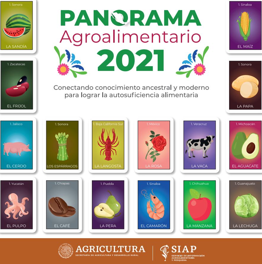 Infografía – Piña 2021 – Fidesur