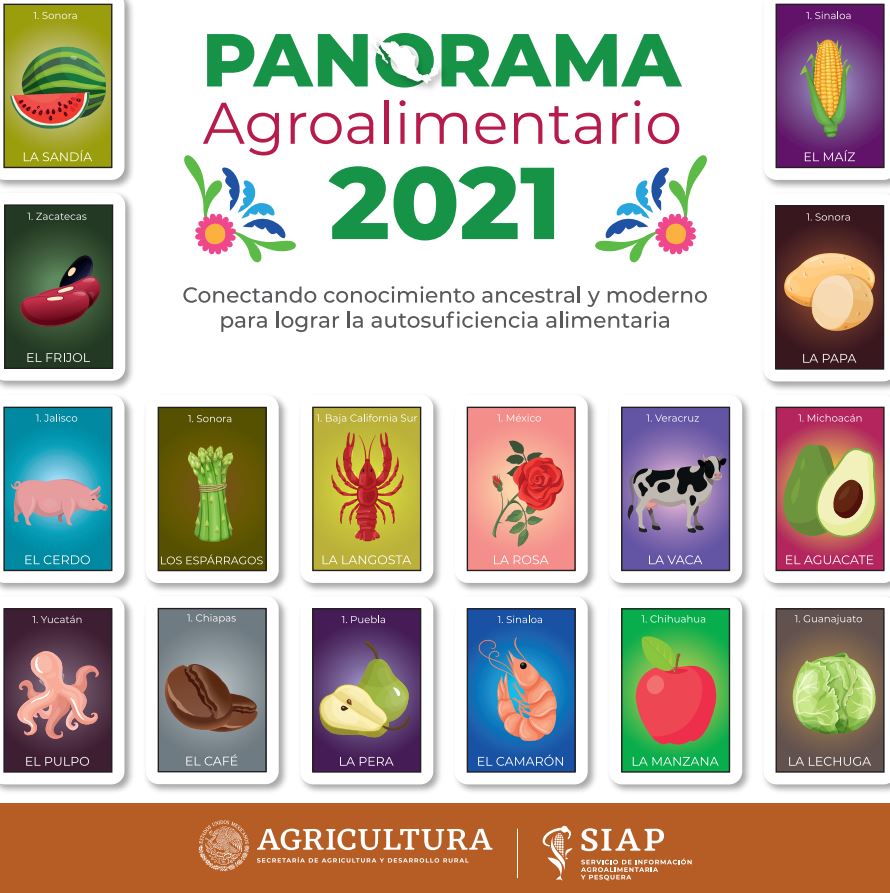 Infografía Papaya 2021 Fidesur