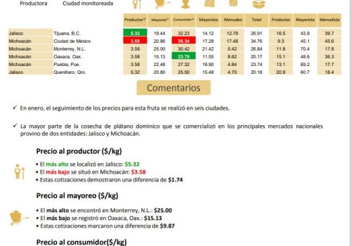 Margenes-de-comercializacion-2022-Platano-Dominico