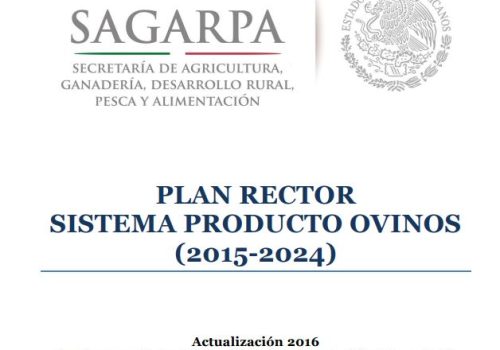 Plan-Rector-Producto-Ovino