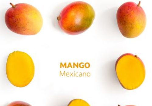 Planeacion-Agricola-Nacional-Mango