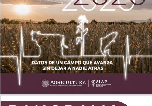 Programa-Agroalimentario-2020-1